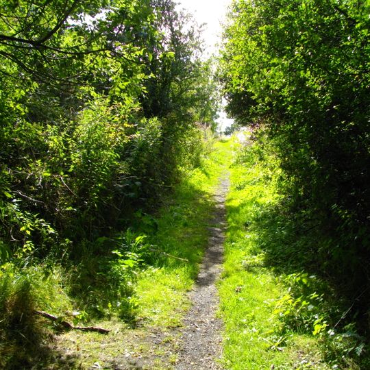 Remains of the Stockton and Darlington Railway