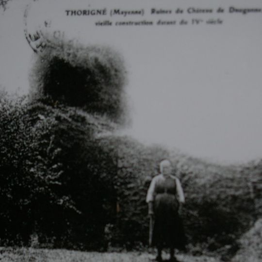 Château de Thorigné-en-Charnie