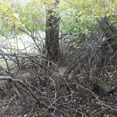 Kříž západně od Vidžína