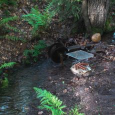 Buchenwaldgebiet Wilthen