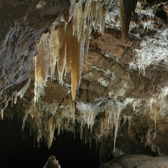 Cavernas de California