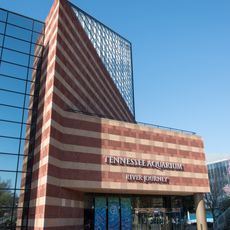 Tennessee Aquarium