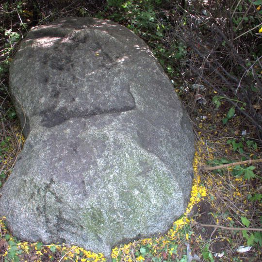 Naturdenkmal Findling auf der Rudower Spinne
