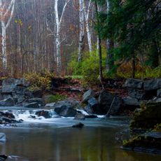 Robert H. Treman State Park