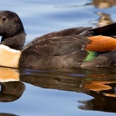 Walyunga National Park