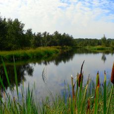 Horowe Bagno Nature Reserve