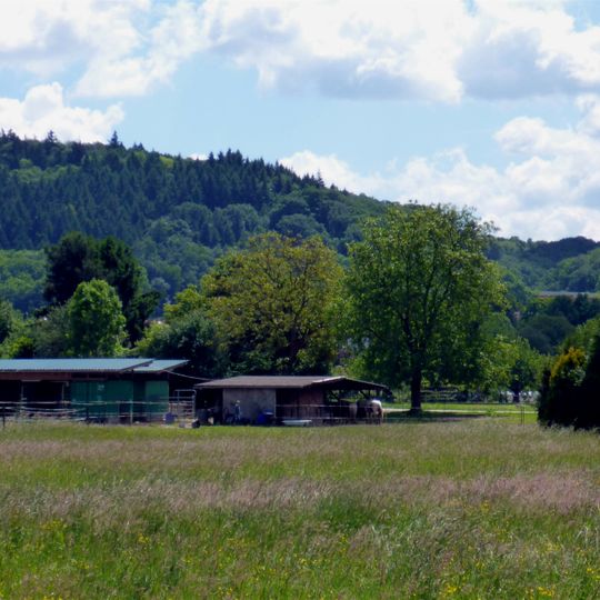 Bergwald - Rappeneigen