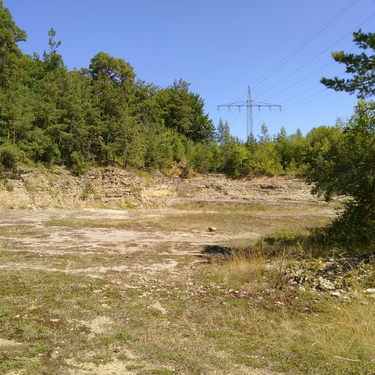 Aufgel. Muschelkalkbruch SE von Ramsthal