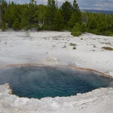 Surprise Pool