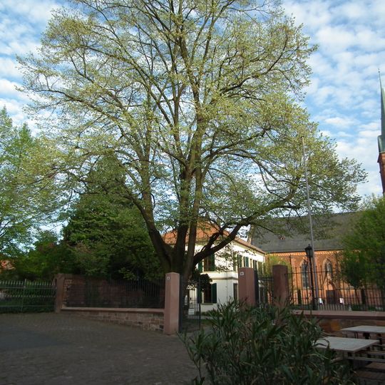 Sommerlinde evangelische Kirche