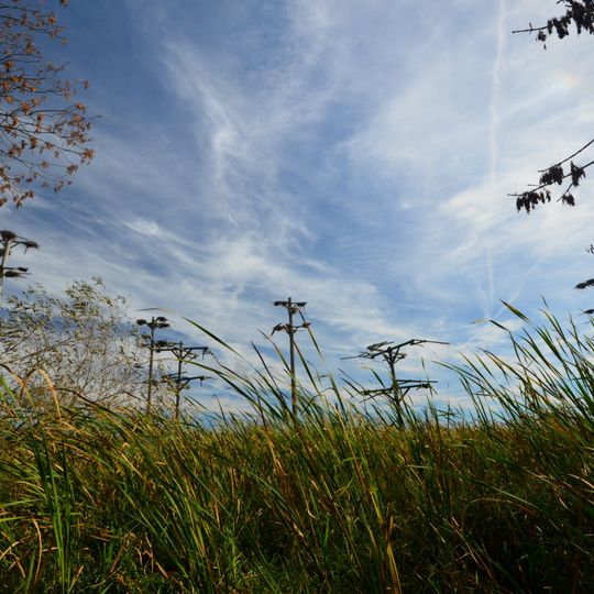 Fourmile Island Rookery State Natural Area