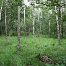 Laubwaldgebiete zwischen Brandis und Grimma