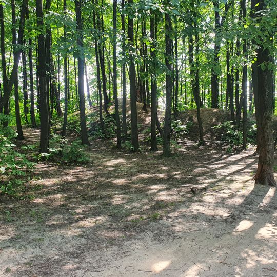 Малое Голубино