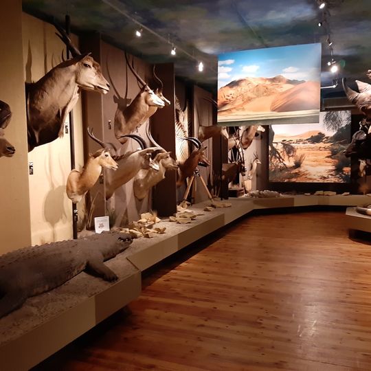 Muzeum Łowiectwa i Jeździectwa