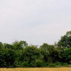 Manor park in Sułkowice Pierwsze