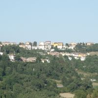 Fiorentino