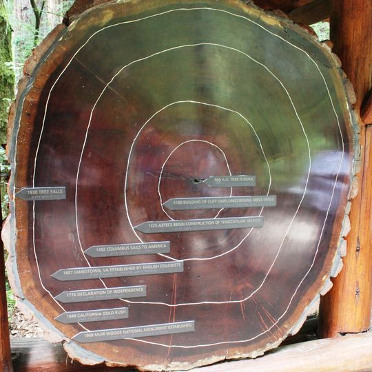 District historique de Muir Woods National Monument