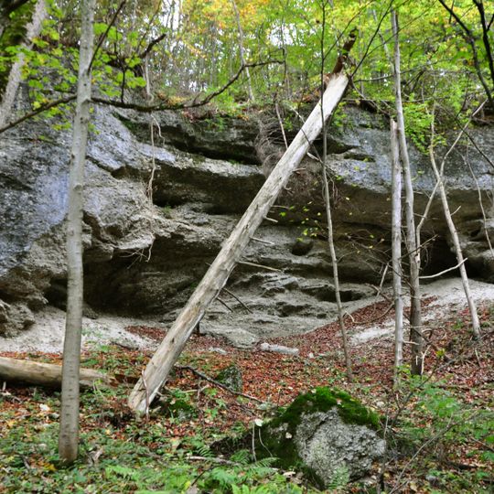 Nagelfluhhänge am Burgstall N von Andechs