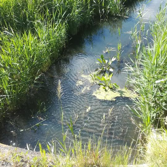 Szamotuly-Galowo observatory