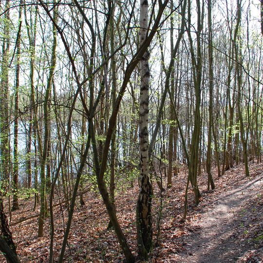 Waldseenbereich Theresia