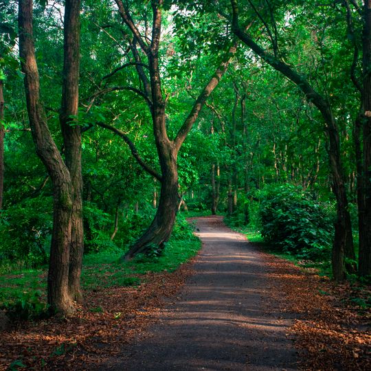 Parc national de Bhawal