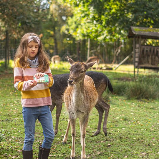 Wildpark Müden