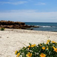 Cala de las Petxinas