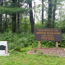 D.A.R. State Forest