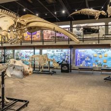 Museum of Osteology