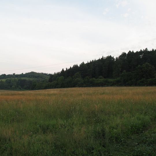 Výří vrch