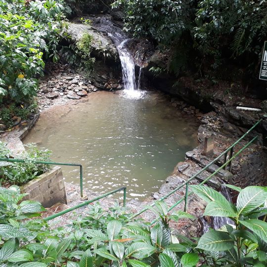 Asa Wright Nature Centre