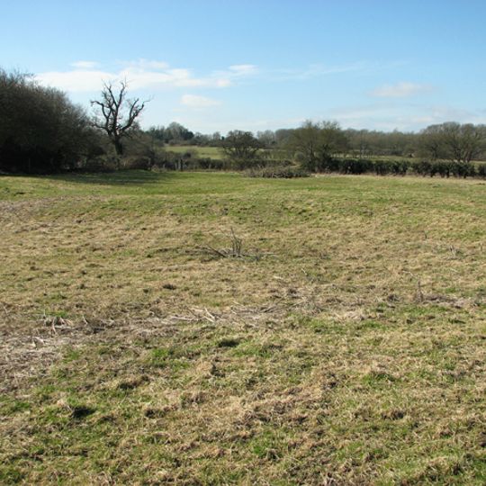 Bixley medieval settlement