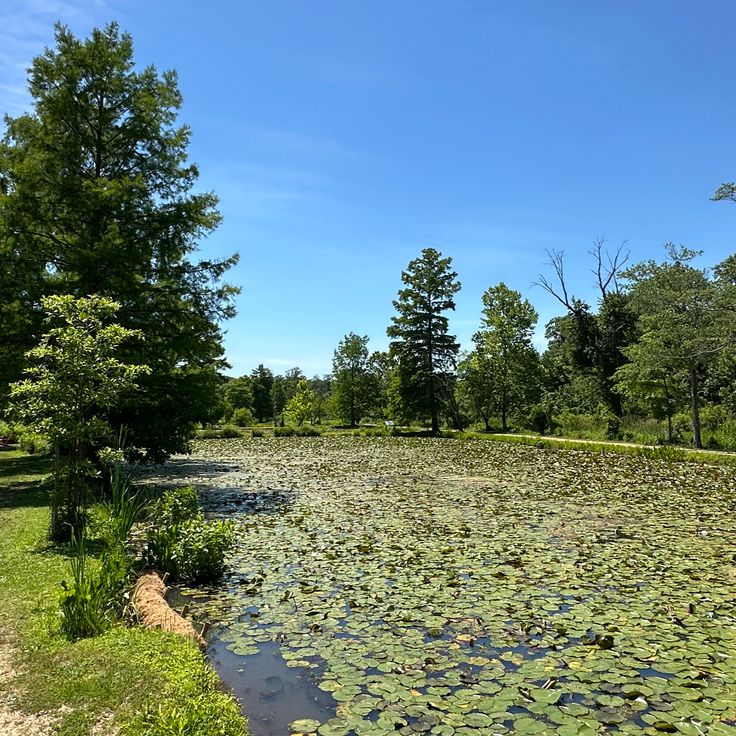 Kenilworth Aquatic Gardens