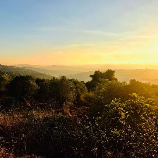 Distretto di Bent Jbail