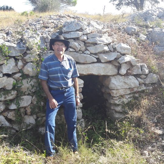 Barraca de pedra seca al pla de Vinyers - 2