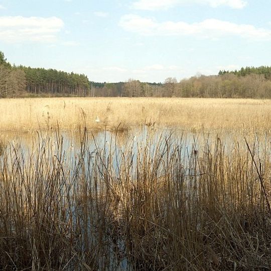 Ežerėliai Geomorphological Reserve