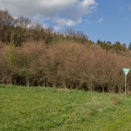 Kuhbachtal bei Hausen