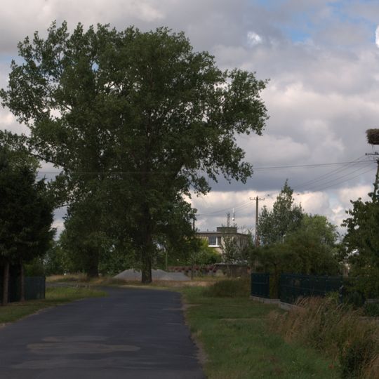 Trzciany, Kuyavian-Pomeranian Voivodeship