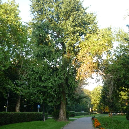 Parks in Lwówek Śląski