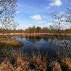 Brockzeteler Moor