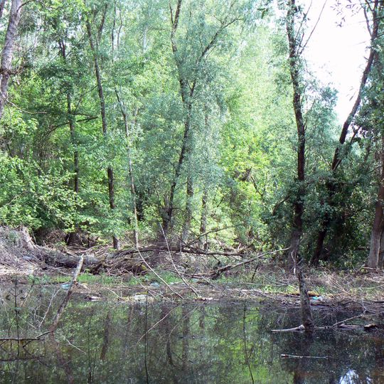 Koviljsko-Petrovaradinski Rit