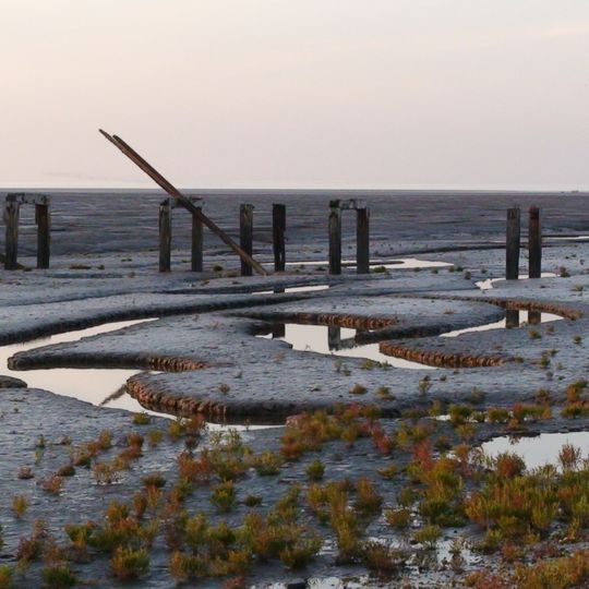 Snettisham RSPB reserve