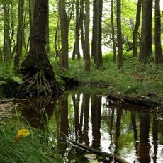 Libouchecké rybníčky