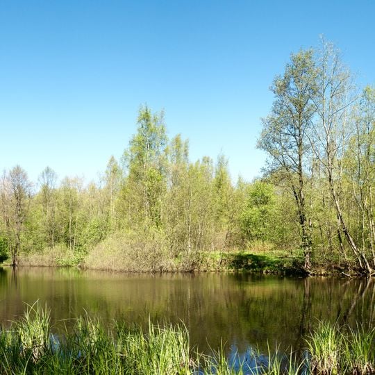 Petrovsky Pond