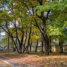 Hrupa vikovykh nasadzhen