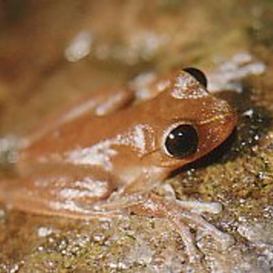 Koombooloomba National Park