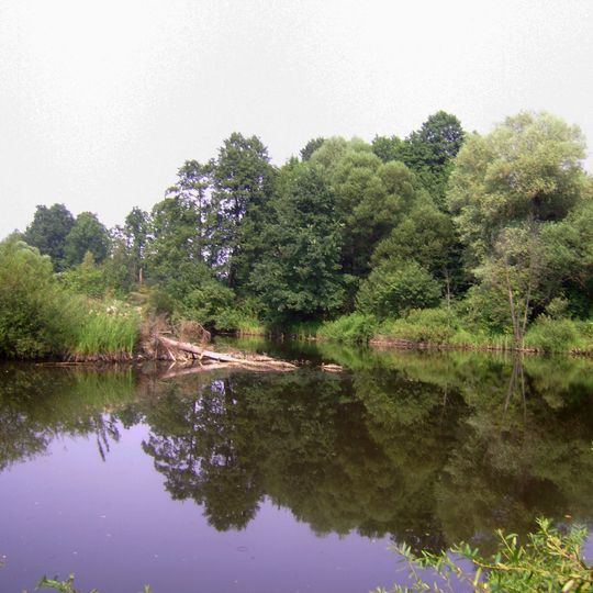 Kalynivskyi zakaznyk