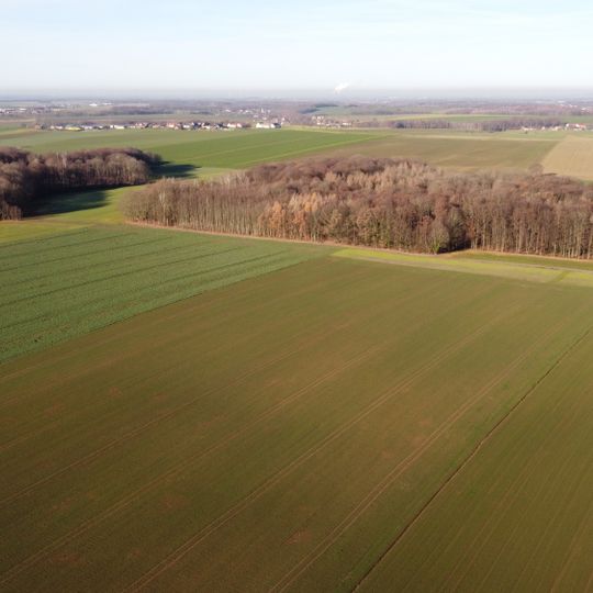 Pastholz Langenleuba