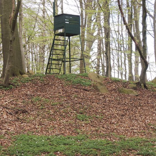 Großsteingrab Rothenmoor 3