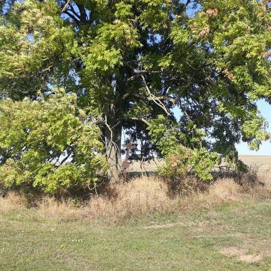 Kříž jihovýchodně od Stranné u rozoraného rozcestí